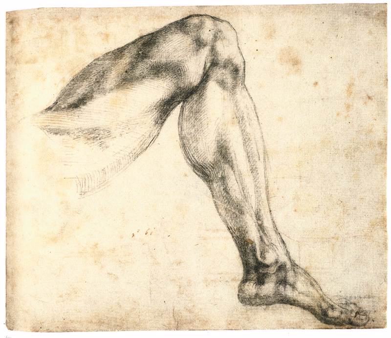 Michelangelo-Buonarroti (32).jpg